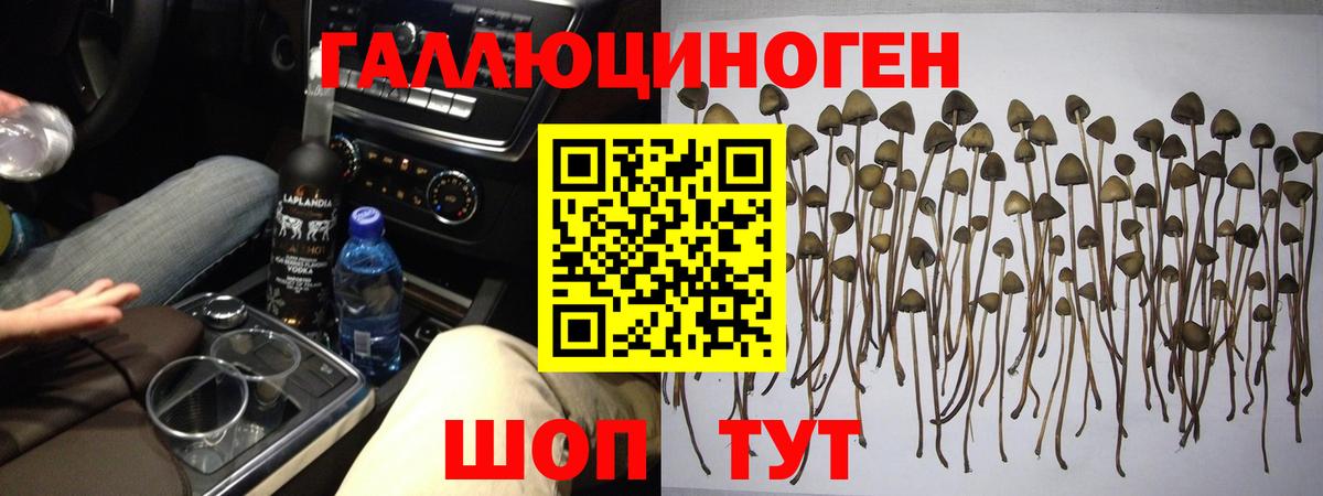 Тутаев  Псилоцибиновые грибы мухоморы  продажа наркотиков  Вход с VPN 